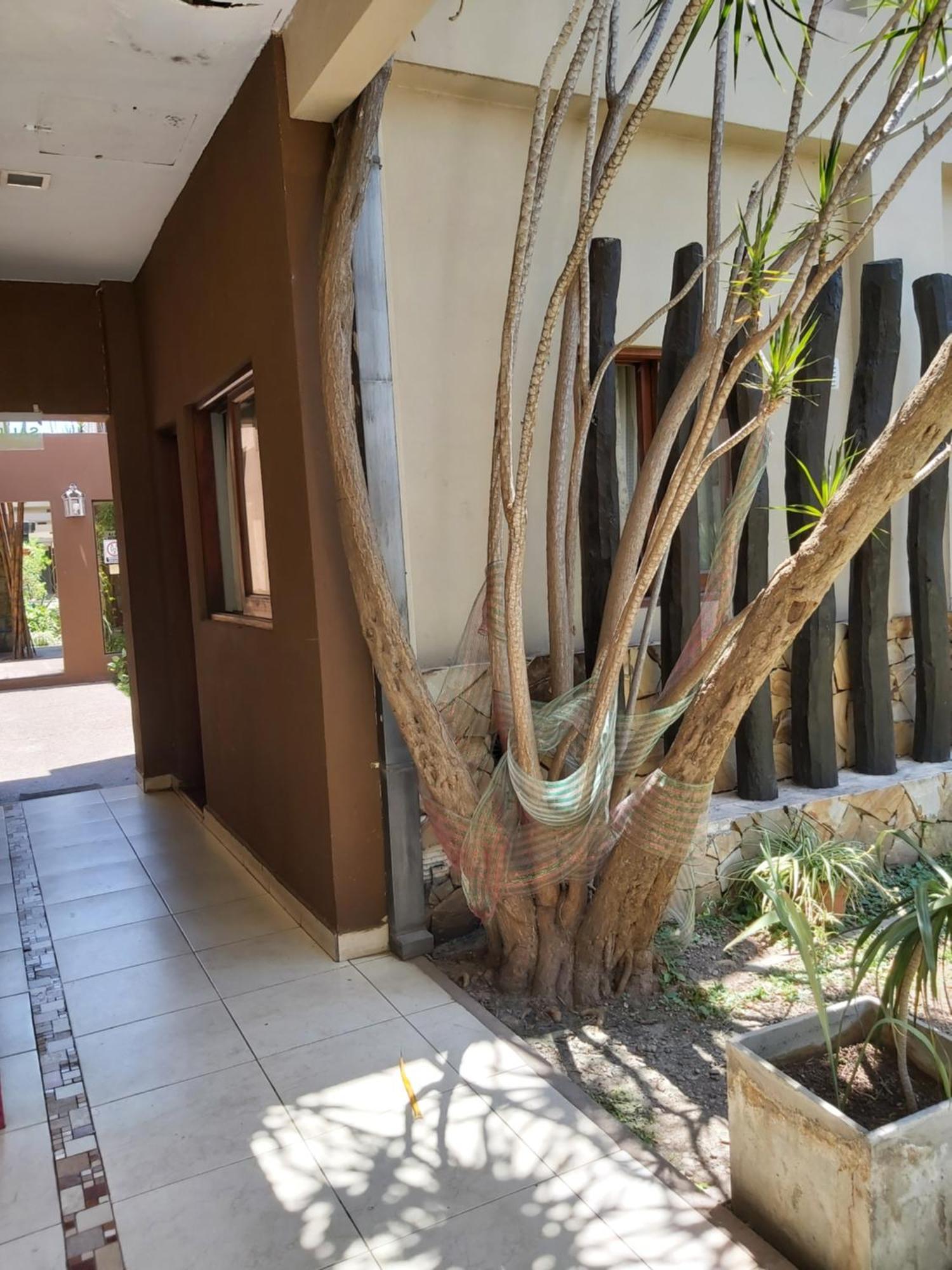 Taruca Apartamento Salta
